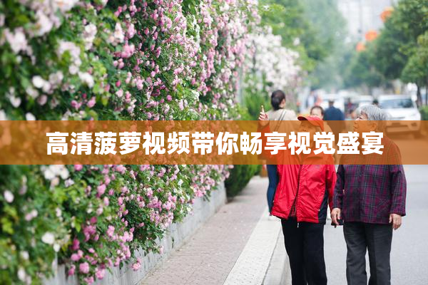 高清菠萝视频带你畅享视觉盛宴