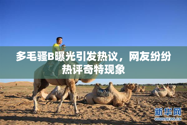 多毛骚B曝光引发热议，网友纷纷热评奇特现象