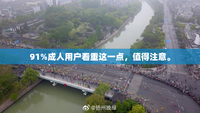 91%成人用户看重这一点，值得注意。