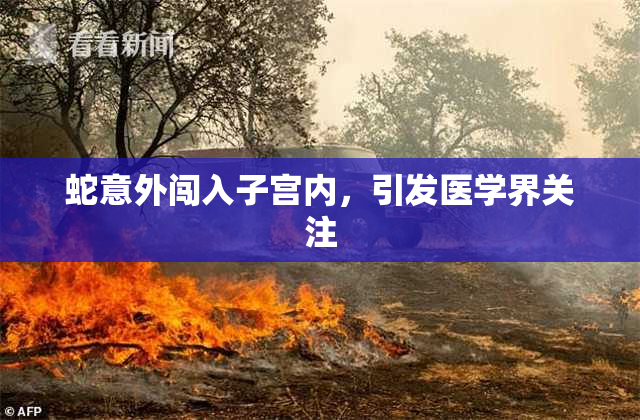 蛇意外闯入子宫内，引发医学界关注