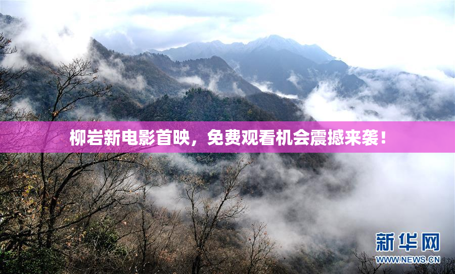 柳岩新电影首映，免费观看机会震撼来袭！