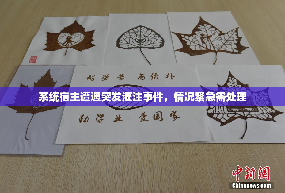 系统宿主遭遇突发灌注事件，情况紧急需处理