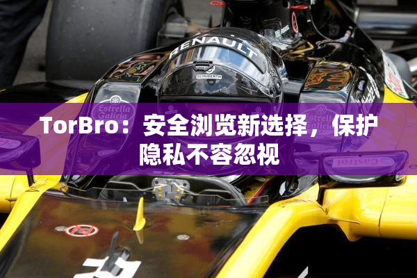 TorBro：安全浏览新选择，保护隐私不容忽视
