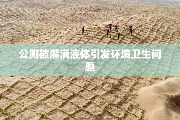 公厕被灌满液体引发环境卫生问题