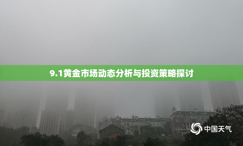 9.1黄金市场动态分析与投资策略探讨
