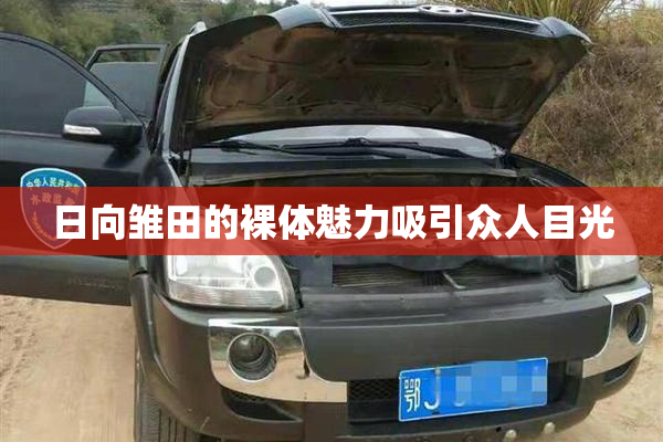日向雏田的裸体魅力吸引众人目光