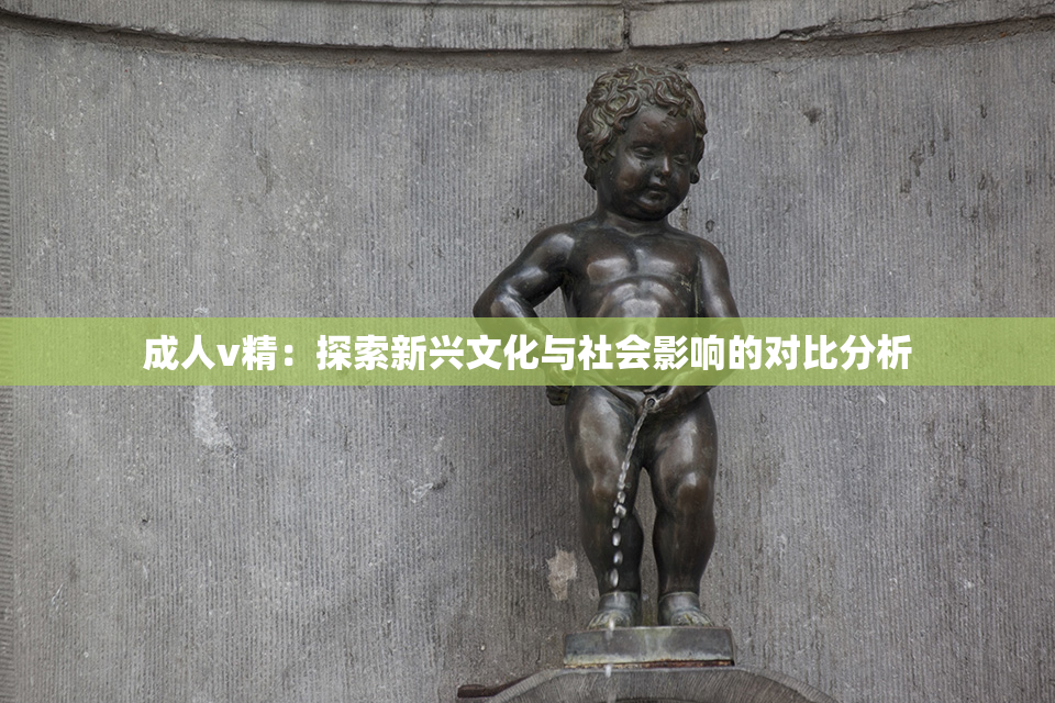 成人v精：探索新兴文化与社会影响的对比分析