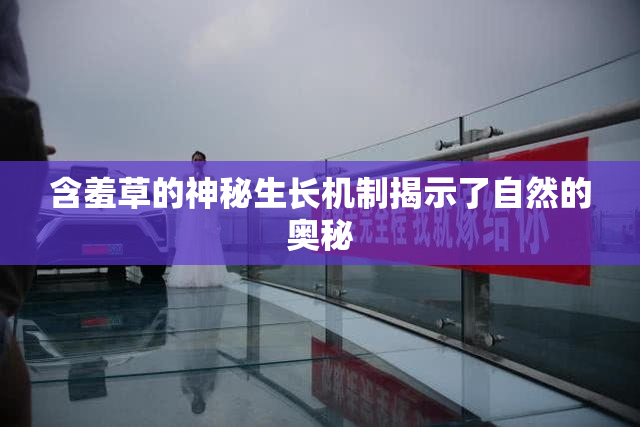 含羞草的神秘生长机制揭示了自然的奥秘