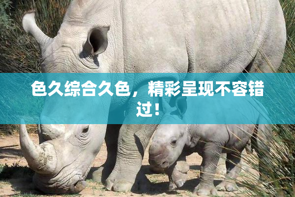 色久综合久色，精彩呈现不容错过！