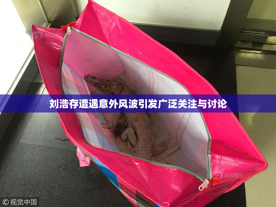 刘浩存遭遇意外风波引发广泛关注与讨论
