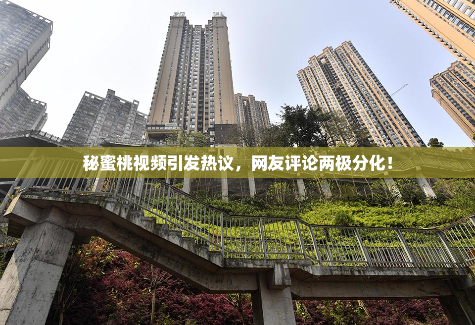 秘蜜桃视频引发热议，网友评论两极分化！