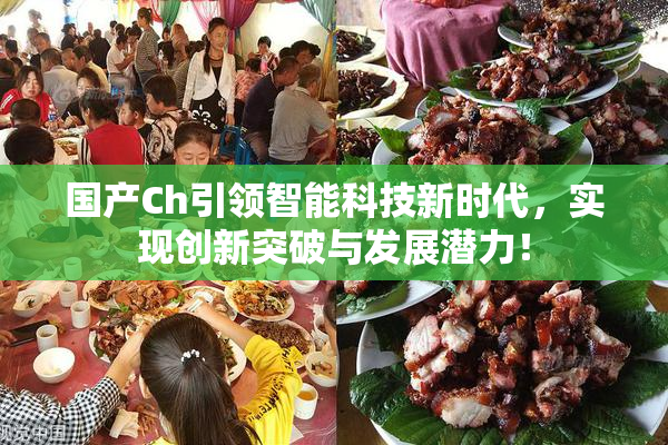 国产Ch引领智能科技新时代，实现创新突破与发展潜力！