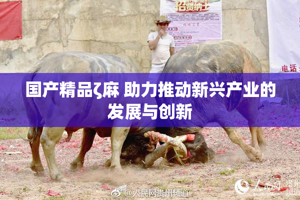 国产精品ζ麻 助力推动新兴产业的发展与创新