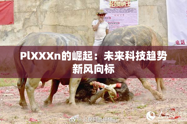 PlXXXn的崛起：未来科技趋势新风向标