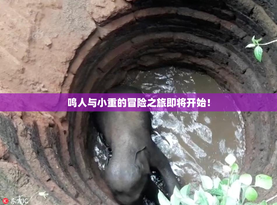 鸣人与小重的冒险之旅即将开始！