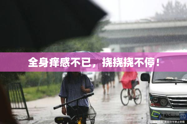 全身痒感不已，挠挠挠不停！