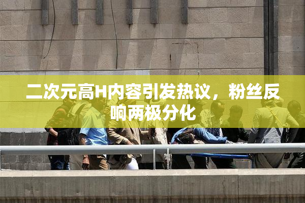 二次元高H内容引发热议，粉丝反响两极分化