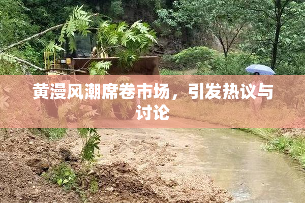 黄漫风潮席卷市场，引发热议与讨论