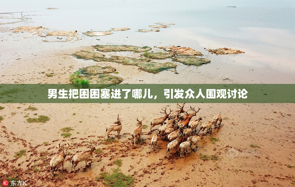 男生把困困塞进了哪儿，引发众人围观讨论