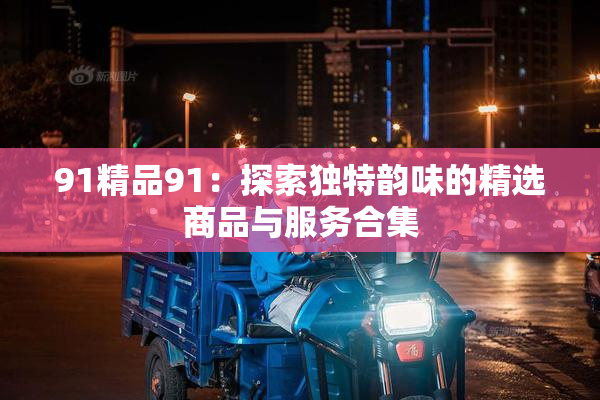 91精品91：探索独特韵味的精选商品与服务合集