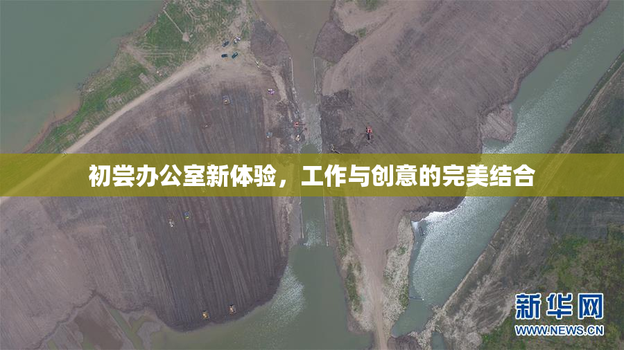初尝办公室新体验，工作与创意的完美结合