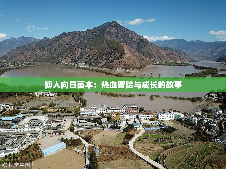 博人向日葵本：热血冒险与成长的故事