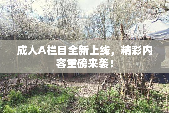 成人A栏目全新上线，精彩内容重磅来袭！