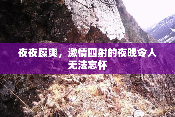 夜夜躁爽，激情四射的夜晚令人无法忘怀