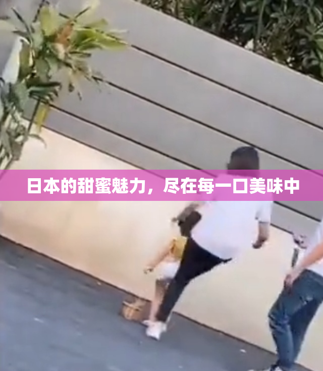 日本的甜蜜魅力，尽在每一口美味中