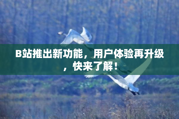 B站推出新功能，用户体验再升级，快来了解！
