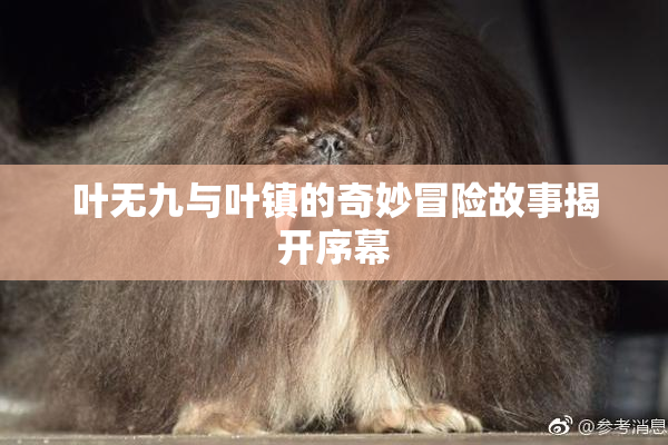 叶无九与叶镇的奇妙冒险故事揭开序幕