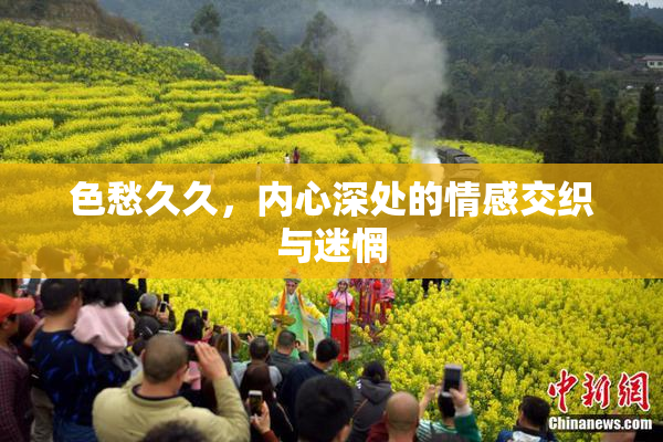 色愁久久，内心深处的情感交织与迷惘