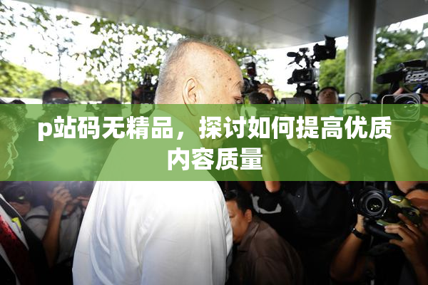 p站码无精品，探讨如何提高优质内容质量
