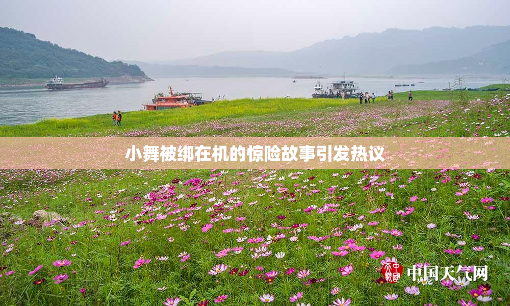 小舞被绑在机的惊险故事引发热议