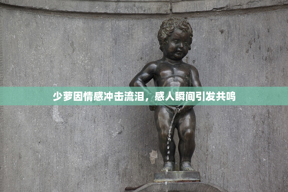 少萝因情感冲击流泪，感人瞬间引发共鸣