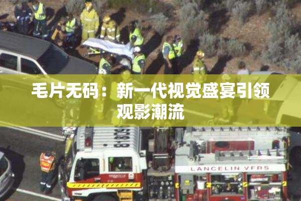 毛片无码：新一代视觉盛宴引领观影潮流