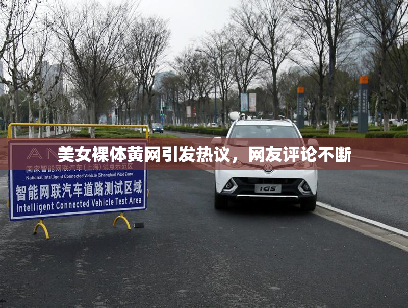 美女裸体黄网引发热议，网友评论不断