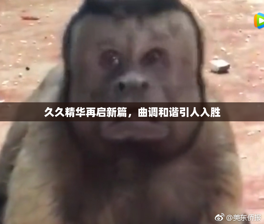久久精华再启新篇，曲调和谐引人入胜