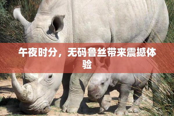午夜时分，无码鲁丝带来震撼体验
