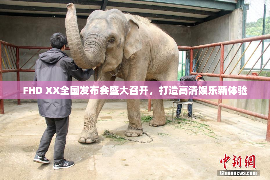 FHD XX全国发布会盛大召开，打造高清娱乐新体验