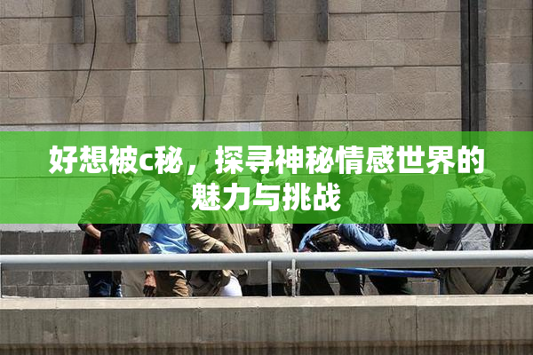 好想被c秘，探寻神秘情感世界的魅力与挑战