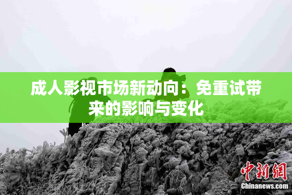 成人影视市场新动向：免重试带来的影响与变化