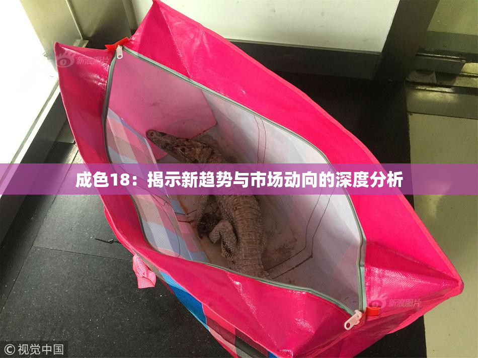 成色18：揭示新趋势与市场动向的深度分析