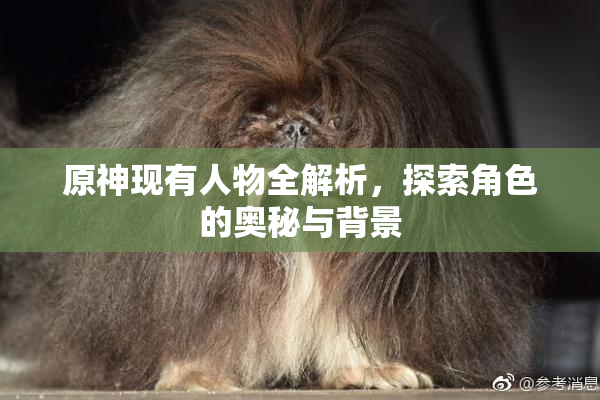 原神现有人物全解析，探索角色的奥秘与背景