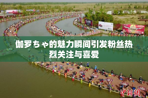 伽罗ちゃ的魅力瞬间引发粉丝热烈关注与喜爱