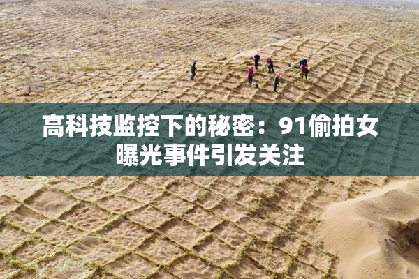 高科技监控下的秘密：91偷拍女曝光事件引发关注