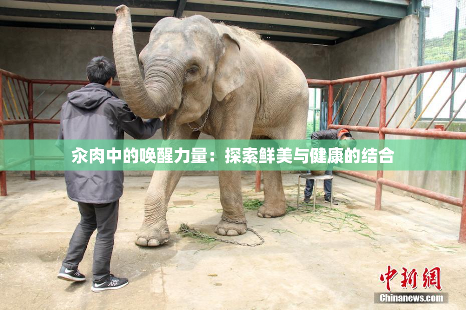 汆肉中的唤醒力量：探索鲜美与健康的结合