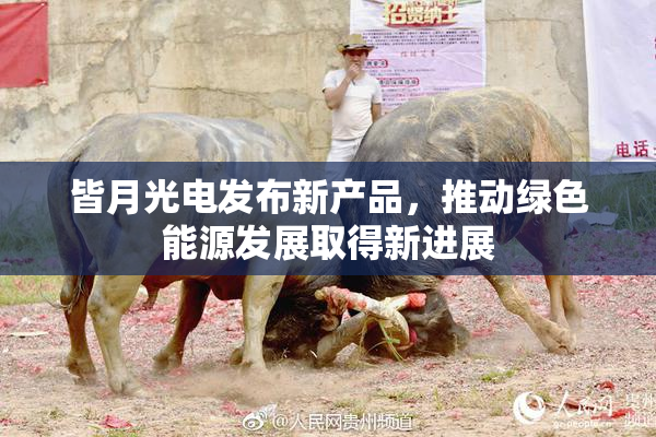 皆月光电发布新产品，推动绿色能源发展取得新进展