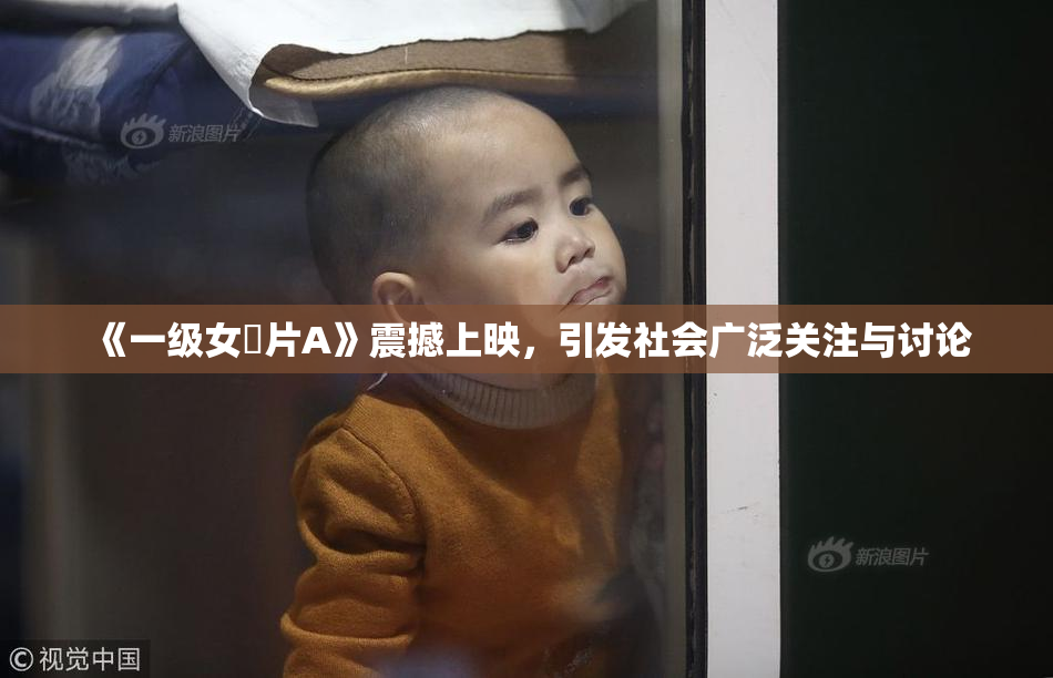 《一级女婬片A》震撼上映，引发社会广泛关注与讨论