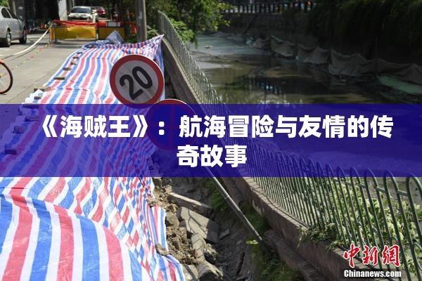 《海贼王》：航海冒险与友情的传奇故事